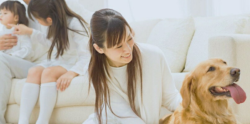 ペット割イメージ